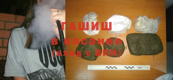 индика Вяземский