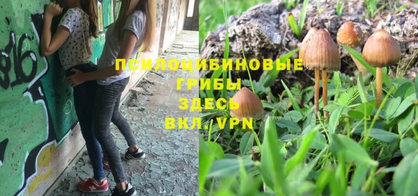 индика Вяземский