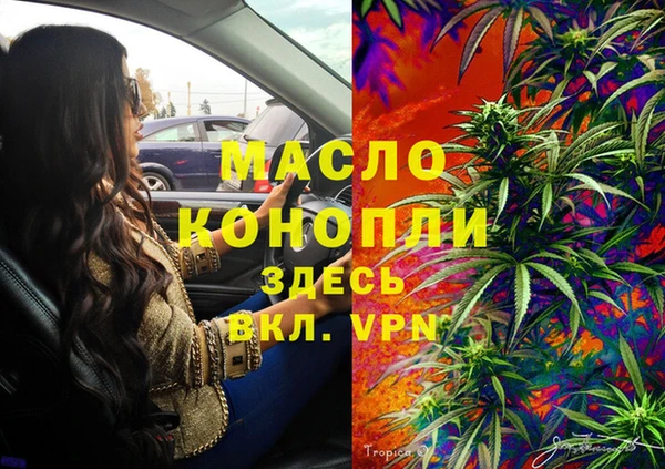 индика Вяземский