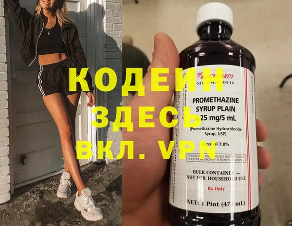 индика Вяземский