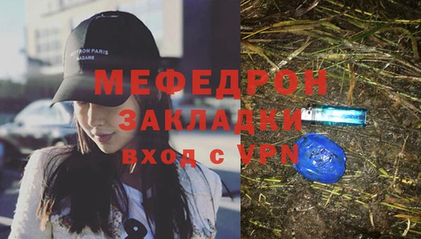 индика Вяземский