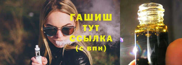 индика Вяземский