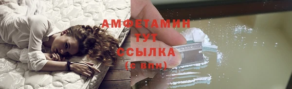 индика Вяземский