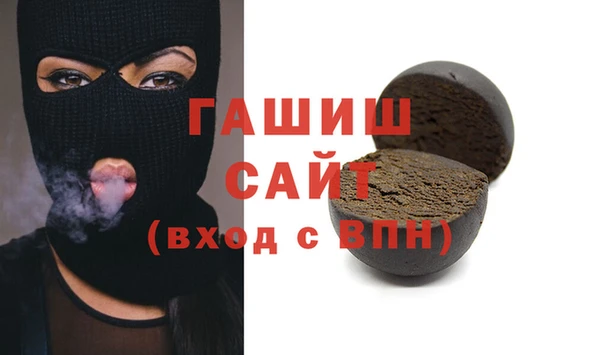 индика Вяземский
