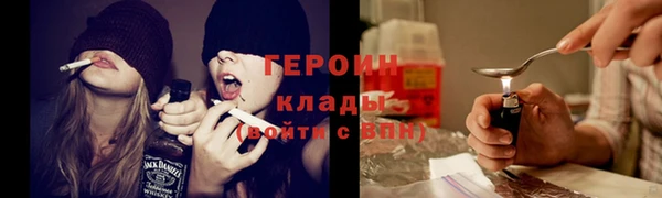 индика Вяземский