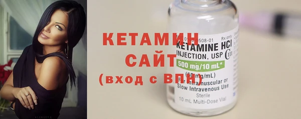 индика Вяземский
