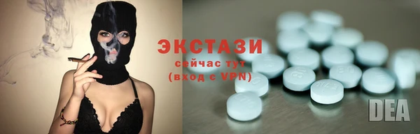 индика Вяземский