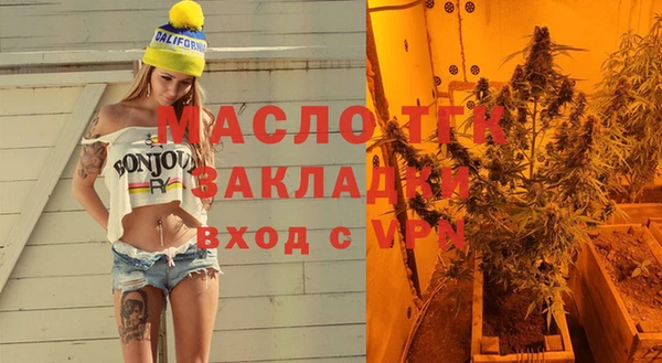 индика Вяземский