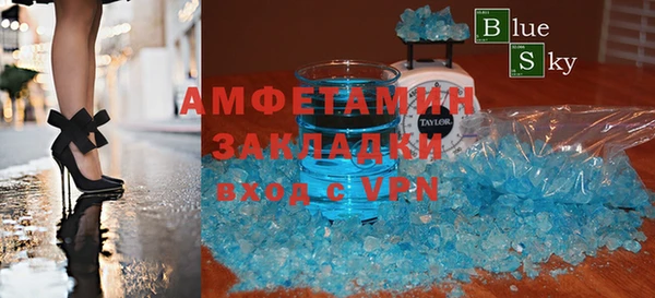 индика Вяземский