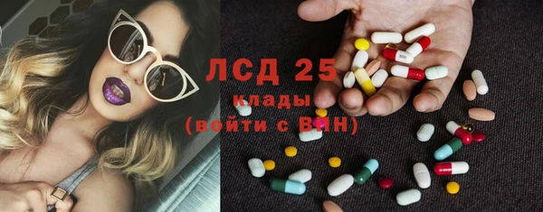 индика Вяземский
