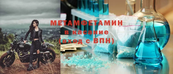 индика Вяземский