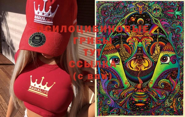 индика Вяземский