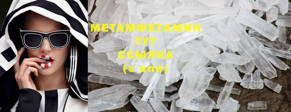 индика Вяземский