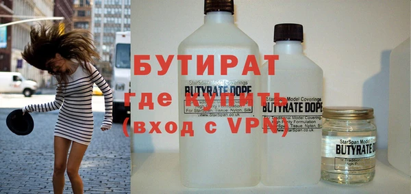 индика Вяземский