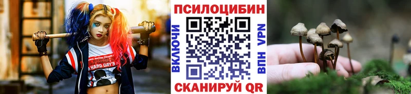 Галлюциногенные грибы ЛСД  Купить закладки  Николаевск 